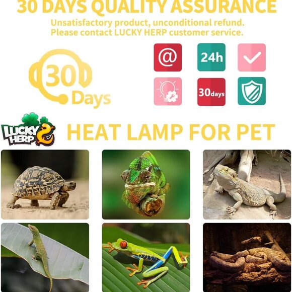 LUCKY HERP New Upgrade 50W Reptile Heat Lamp Bulb (3rd Gen, Safer) (2 Pack) - Picture 7 of 7